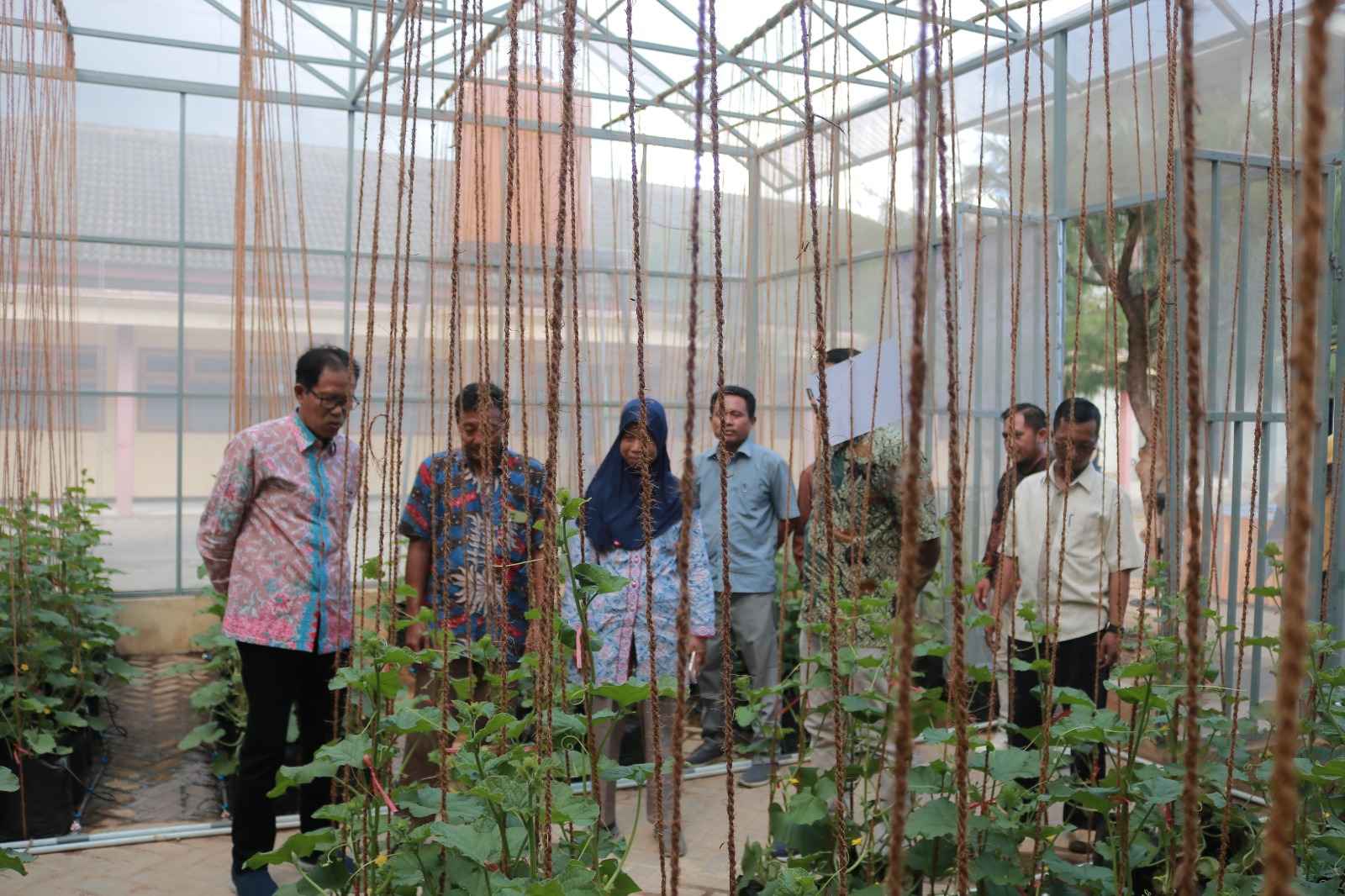 universitas-wiraraja-resmikan-greenhouse-baru-untuk-dukung-pertanian-berkelanjutan_1732078659.jpeg